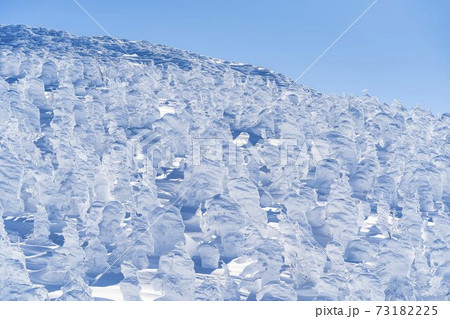 山形蔵王の樹氷と青空 山形県山形市 山形蔵王の樹氷と青空 山形県山形市 73182225