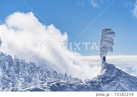 山形蔵王の樹氷と青空 山形県山形市 山形蔵王の樹氷と青空 山形県山形市 73182259