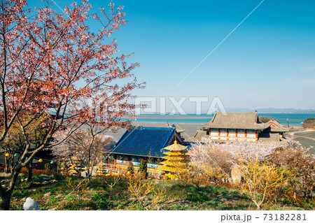 Panorama view of Anmyeonam temple and sea at spring in Anmyeondo Island, Taean, Korea Panorama view of Anmyeonam temple and sea at spring in Anmyeondo Island, Taean, Korea 73182281