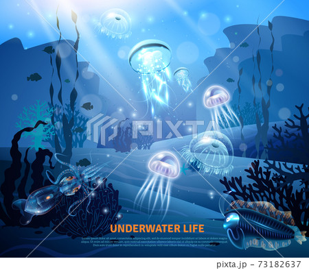 Underwater Life Background Light Poster Underwater Life Background Light Poster 73182637