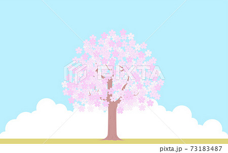満開の桜の木 青空と雲の背景 イラスト素材のイラスト素材