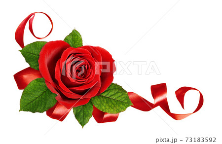 Red heart shape rose flower and green leaves with twisted satin ribbon in a corner arrangement for Valentine Day isolated on white Red heart shape rose flower and green leaves with twisted satin ribbon in a corner arrangement for Valentine Day isolated on white 73183592