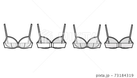Torsolette basque bustier lingerie technical Vector Image