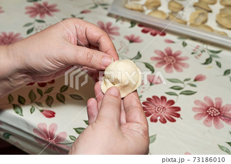 Cooking dumplings by hand in the kitchen Cooking dumplings by hand in the kitchen 73186010
