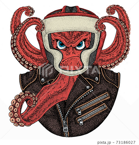 Octopus vector portrait. Sea marine creature, beast. Animal wearing boxer helmet. Octopus vector portrait. Sea marine creature, beast. Animal wearing boxer helmet. 73186027