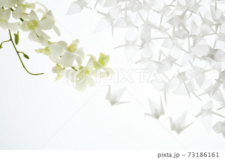 折鶴とデンファレ 73186161