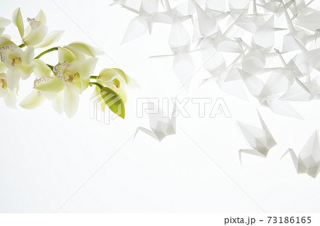 折鶴とデンファレ 折鶴とデンファレ 73186165