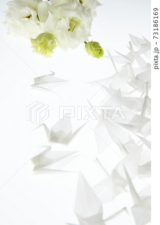 折鶴とトルコ桔梗 73186169