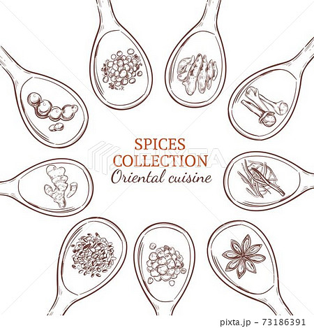 Sketch Spices And Herbs Round Concept 73186391