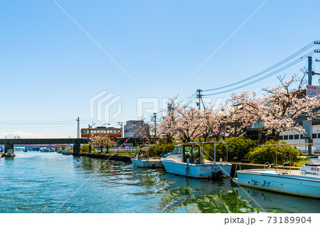 富山県・日本のベニス・春の新湊内川 富山県・日本のベニス・春の新湊内川 73189904