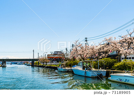 富山県・日本のベニス・春の新湊内川 73189905