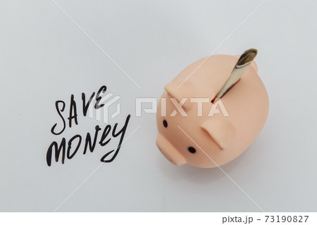 Savings in pink piggy bank and handwriting phrase "save money" 73190827