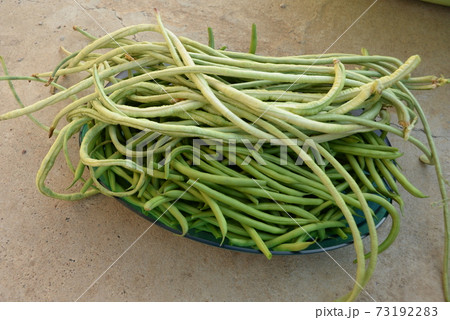 green beans is raw, harvested on wooden background. legumes, vegetarianism and gardening green beans is raw, harvested on wooden background. legumes, vegetarianism and gardening 73192283