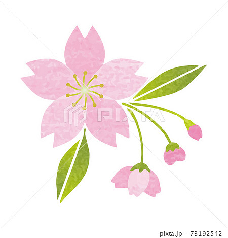 桜の花 つぼみ 葉っぱ 切り絵 和紙風のイラストのイラスト素材