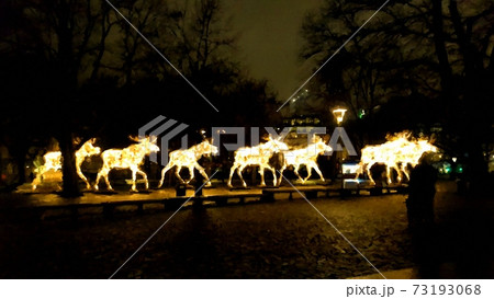 Luminous moose trotting at night on the street in Scandinavia in digital painting style 73193068