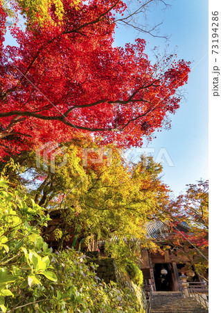 長谷寺 (秋 11月 紅葉) 長谷寺 (秋 11月 紅葉) 73194286
