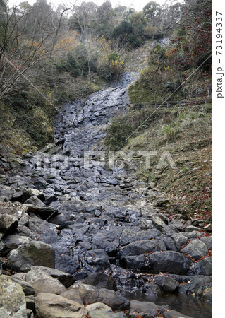 柱状節理　伊豆ジオパーク旭滝 73194337