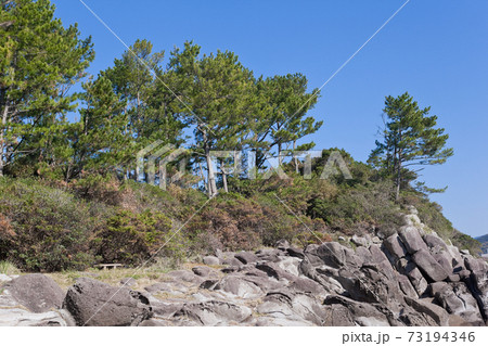 串木野市照島海岸の穏やかな海 串木野市照島海岸の穏やかな海 73194346