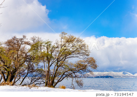 琵琶湖　(12月　冬　積雪) 73194547