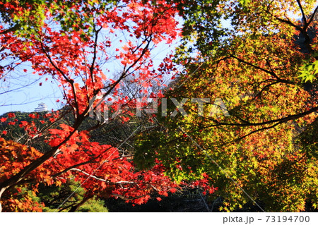 日本の秋　岐阜県金華山　紅葉と岐阜城 73194700