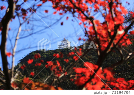 日本の秋 岐阜県金華山 紅葉と岐阜城の写真素材