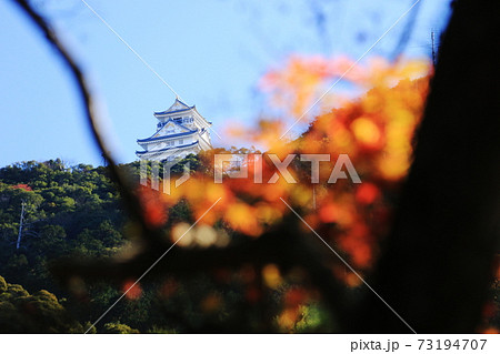 日本の秋　岐阜県金華山　紅葉と岐阜城 73194707