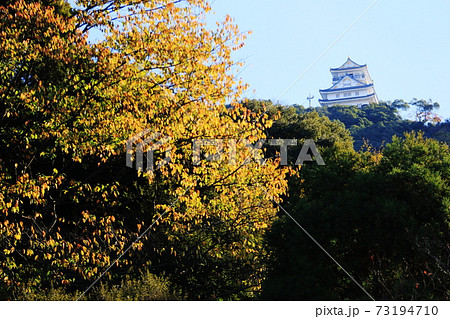 日本の秋　岐阜県金華山　岐阜城と紅葉 73194710