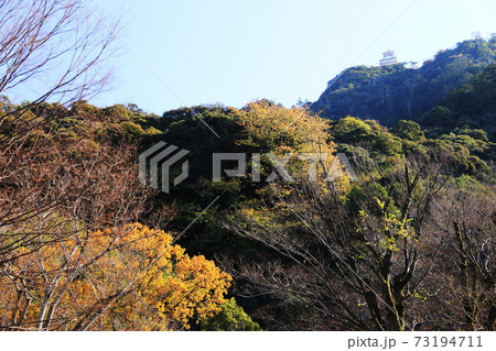 日本の秋　岐阜県金華山　紅葉と岐阜城 73194711
