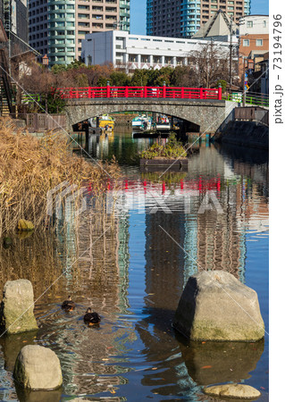 隅田川につながる佃堀の情景 73194796