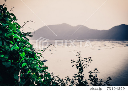 Beauty view Nature evening pink tone dusk landscape sea panorama horizon over water mountain island background, Blur boat, front bright green leaves. Design wallpaper. Mystic mystery Calm concept 73194899