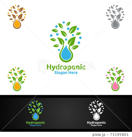 Water Hydroponic Gardener Logo with Green Garden Environment or Botanical Agriculture Design Water Hydroponic Gardener Logo with Green Garden Environment or Botanical Agriculture Design 73195801