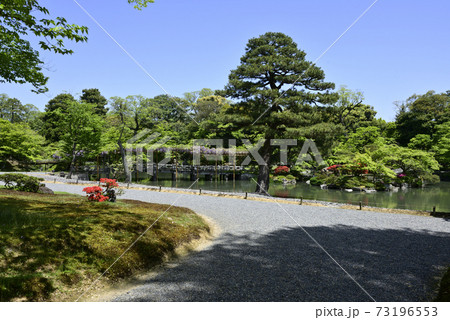 京都仙洞御所　南池 73196553