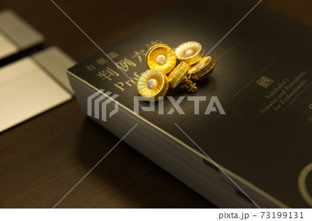 五人の弁護士バッジ 73199131