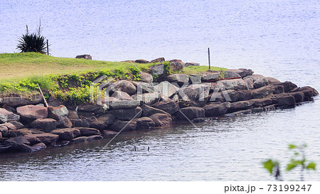 新蔵波止跡(長崎県大村市:玖島城) 新蔵波止跡(長崎県大村市:玖島城) 73199247