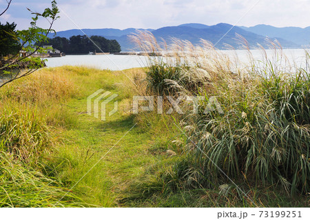 新蔵波止跡(長崎県大村市:玖島城) 新蔵波止跡(長崎県大村市:玖島城) 73199251
