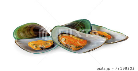 Mussels an isolated on a white background 73199303