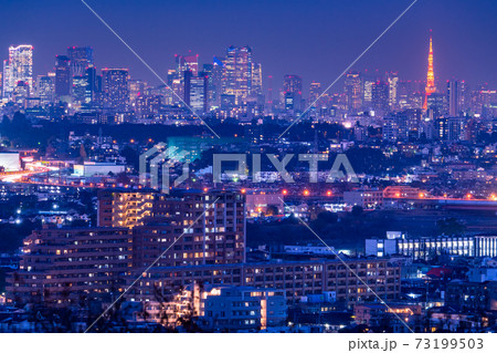 《東京都》東京の夜景・ビジネス街と住宅街 《東京都》東京の夜景・ビジネス街と住宅街 73199503