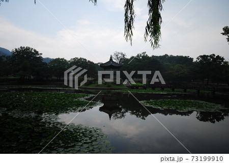 風景 池 公園 73199910