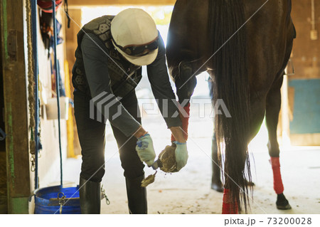 競走馬と飼育員 73200028