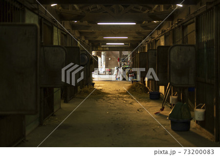 厩舎 風景 厩舎 風景 73200083