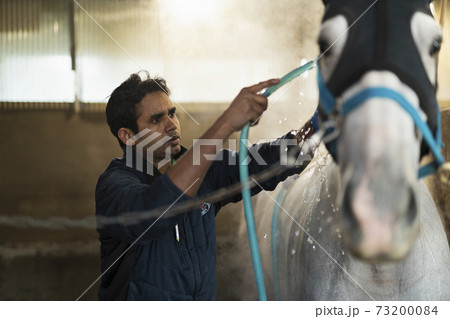 競走馬と飼育員 73200084