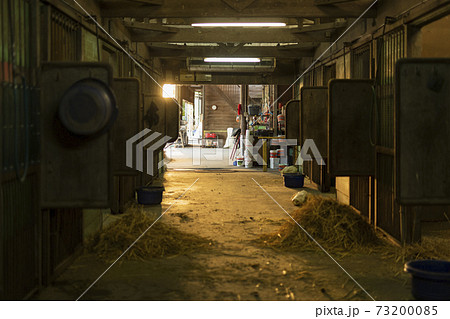 厩舎　風景 73200085