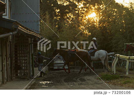 競走馬と飼育員 73200106