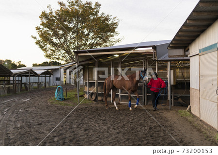 競走馬と飼育員 73200153