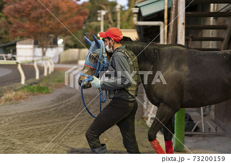 競走馬と飼育員の写真素材
