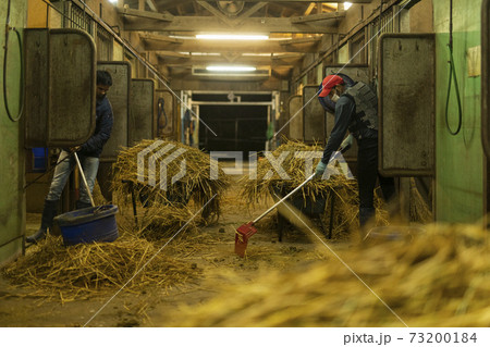 作業中の飼育員 作業中の飼育員 73200184