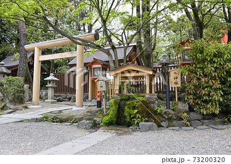 八坂神社 ご神水(力水) 八坂神社 ご神水(力水) 73200320
