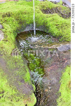八坂神社 ご神水(力水) 八坂神社 ご神水(力水) 73200323