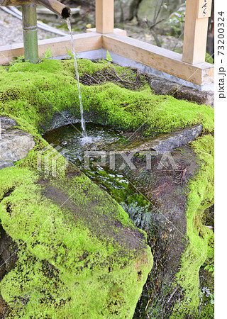 八坂神社 ご神水(力水) 八坂神社 ご神水(力水) 73200324