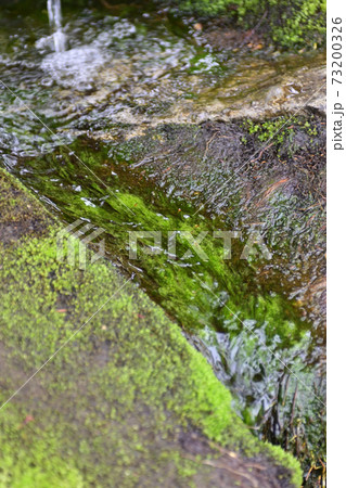 八坂神社 ご神水(力水) 八坂神社 ご神水(力水) 73200326